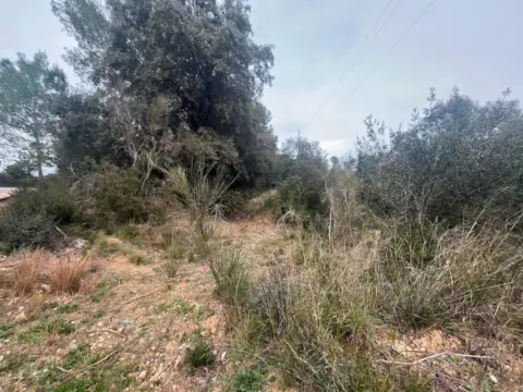 Finca rústica en calle Cl P.P.R. 2, nº 2